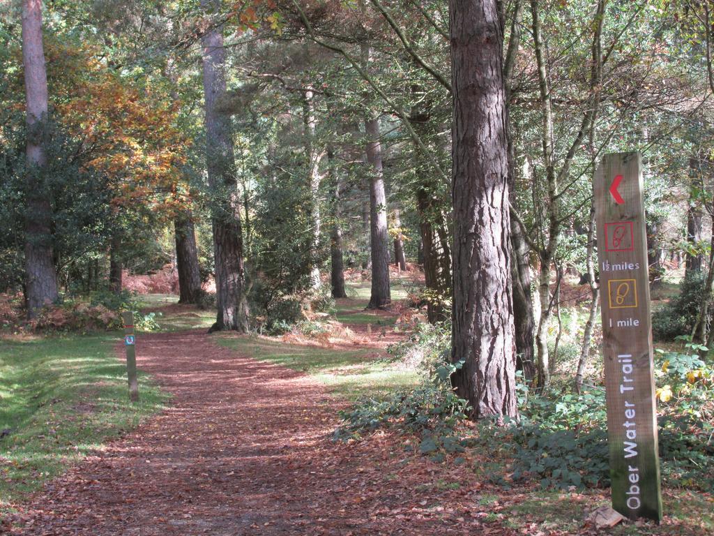 Albertine ,A Warm Welcome Awaits You ,Offering Room Only Or Bed And Breakfast ,Ideal Location For Solent Way ,High Street ,Isle Of Wight ,New Forest ลีมิงตัน ภายนอก รูปภาพ