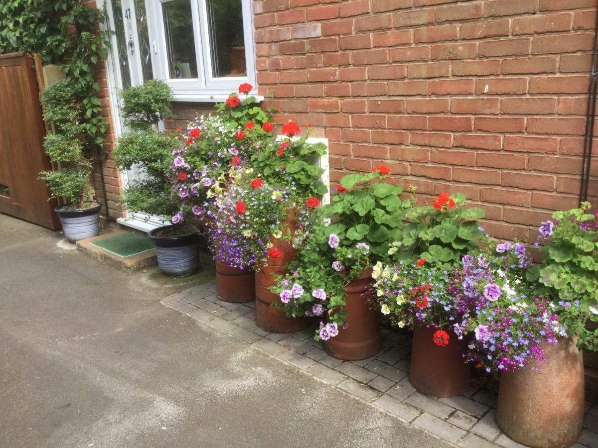 Albertine ,A Warm Welcome Awaits You ,Offering Room Only Or Bed And Breakfast ,Ideal Location For Solent Way ,High Street ,Isle Of Wight ,New Forest ลีมิงตัน ภายนอก รูปภาพ